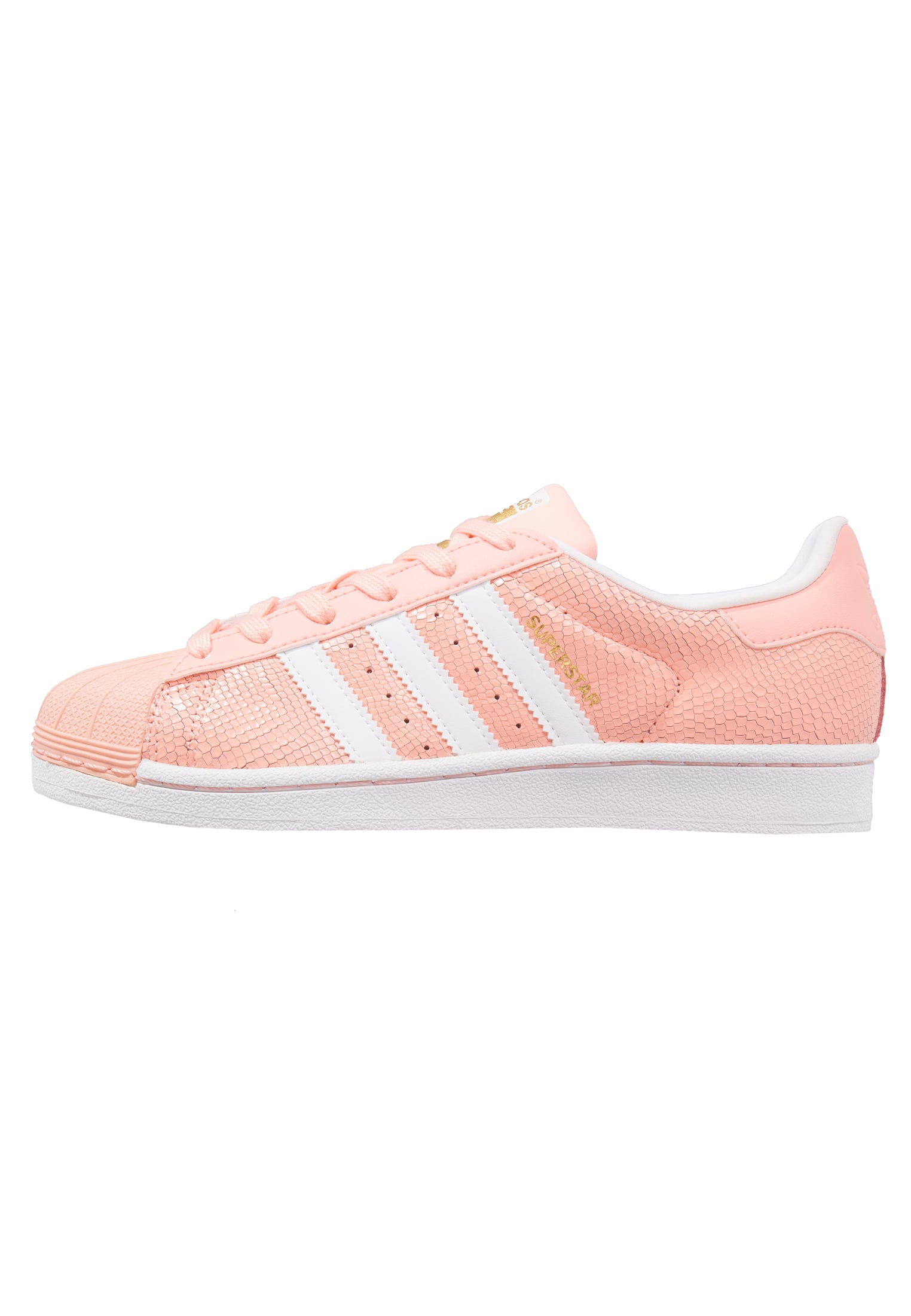 superstar corail