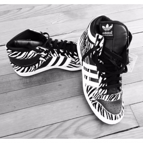 basket zebre adidas